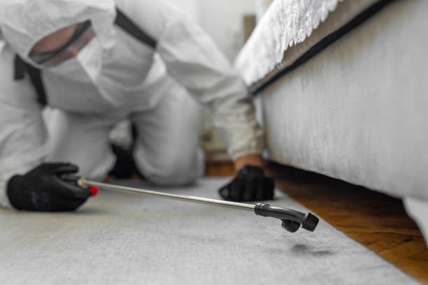 Professional Termite Control technician working in Smith Mills, MA