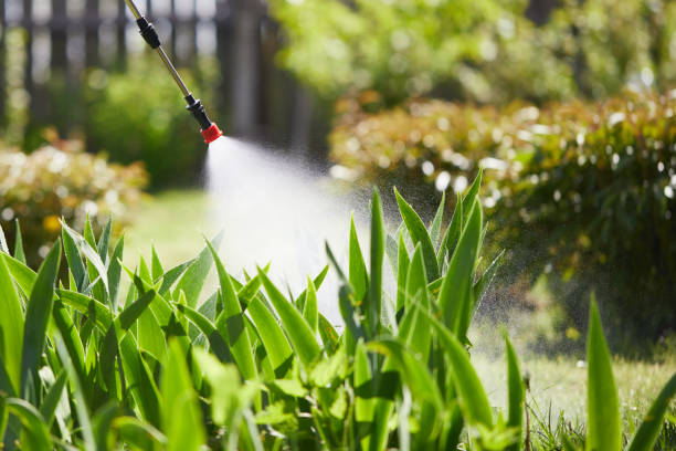 24/7 Emergency Termite Control experts in Smith Mills, MA