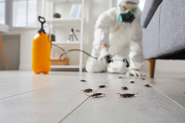 Trusted Cockroach Control service in Smith Mills, MA - Nex Pest Control