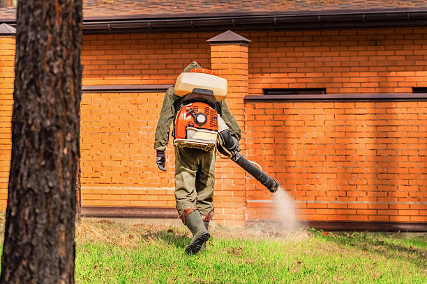 Trusted Bed Bug Control service in Smith Mills, MA - Nex Pest Control
